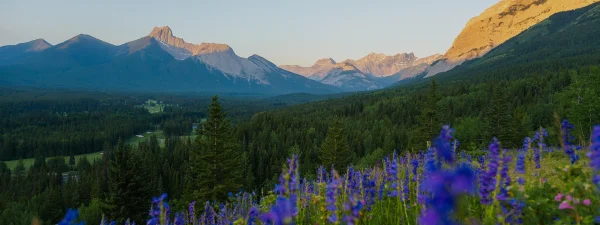 Stay longer and save