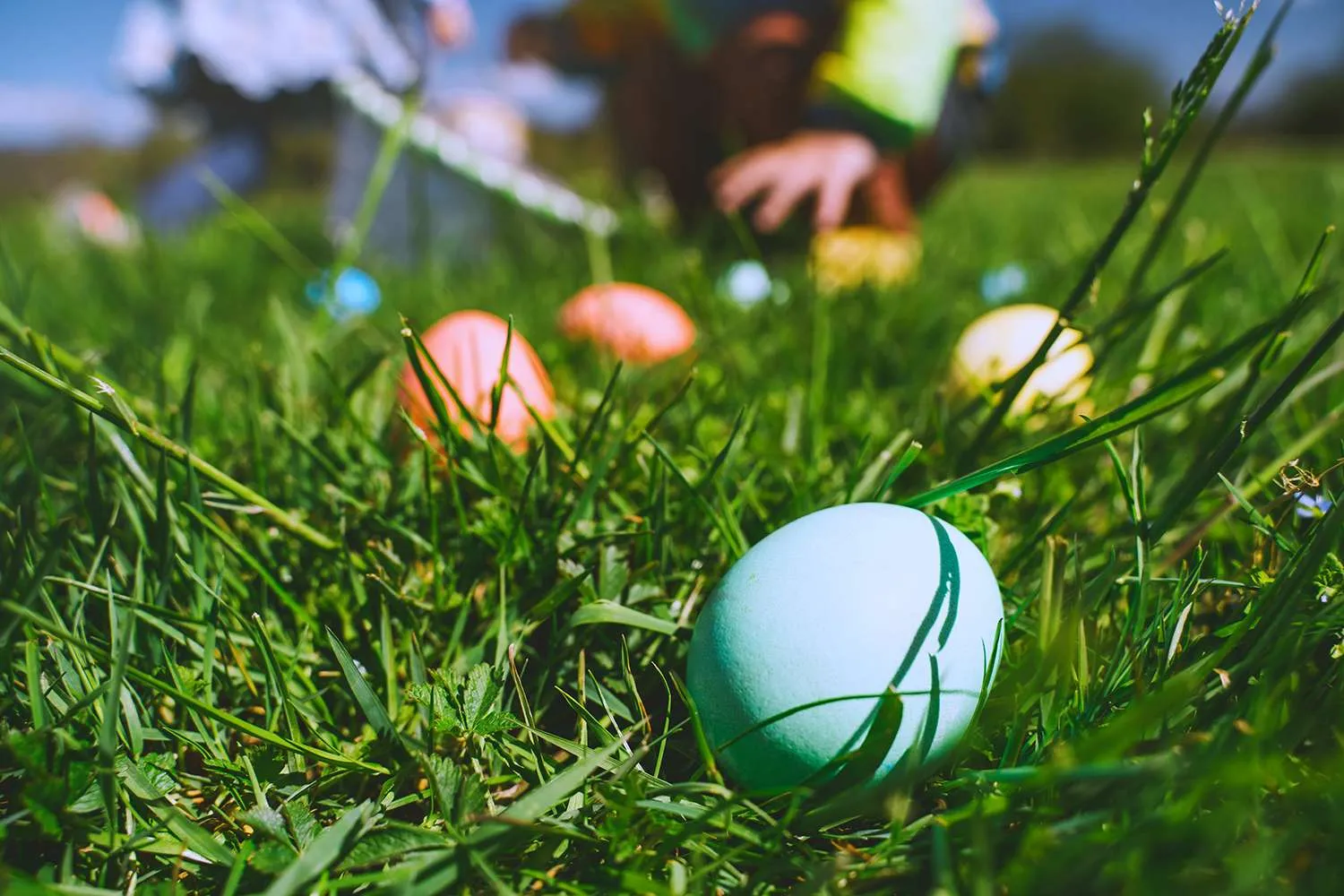 Easter eggs hidden in green grass